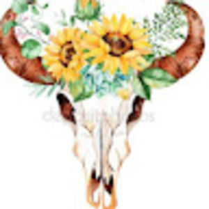 Meet your Posher, Shelby